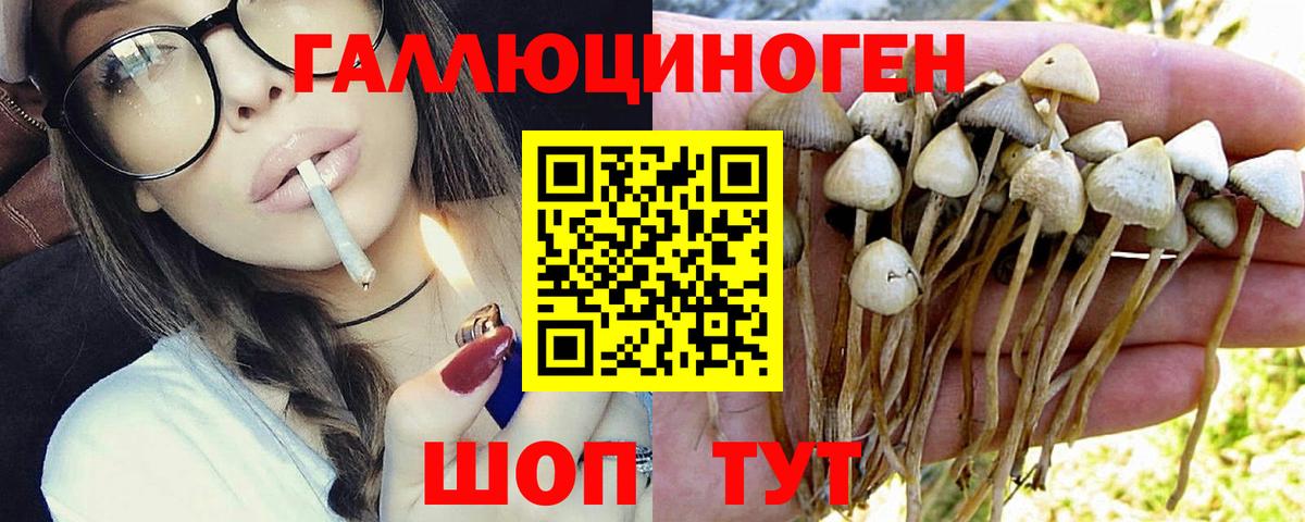 Галлюциногенные грибы MAGIC MUSHROOMS  Вход с VPN  Псилоцибиновые грибы прущие грибы  Кириши 