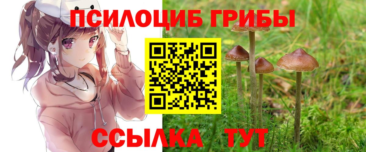Псилоцибиновые грибы Cubensis Кириши